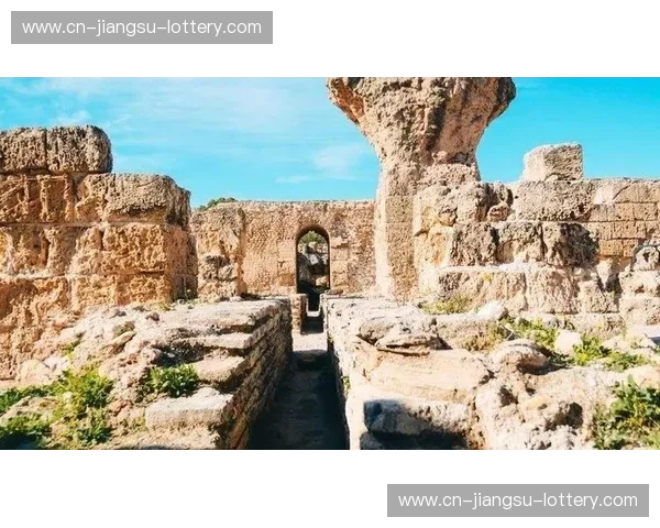 红与白的终极博弈：当“红队”的烈焰撞上突尼斯的迦太基坚盾